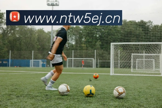 云顶集团官网登录入口发展历程